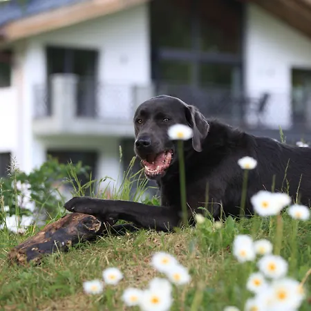 Engadin Premium & Private Apartament