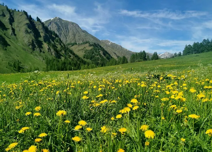 Engadin Premium & Private