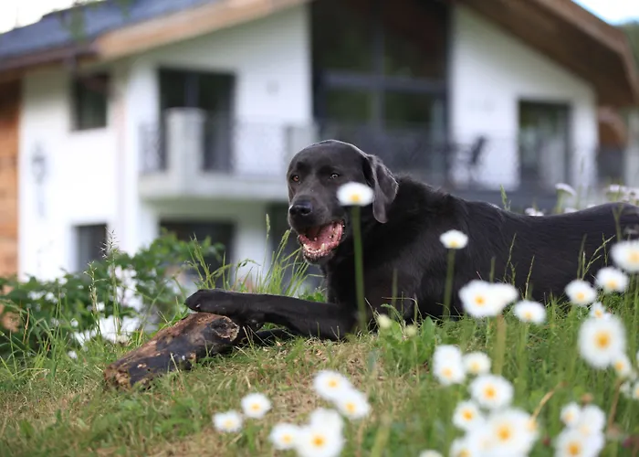 Engadin Premium & Private Apartament