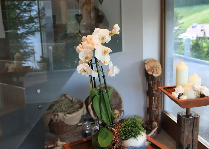 Engadin Premium & Private